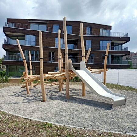 Robinienholz