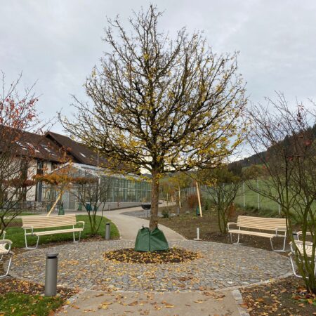 Parkbänke Rickenbach Rund