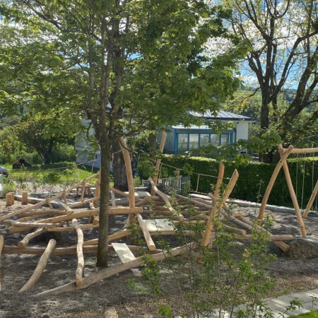 Kletterstruktur im Wald