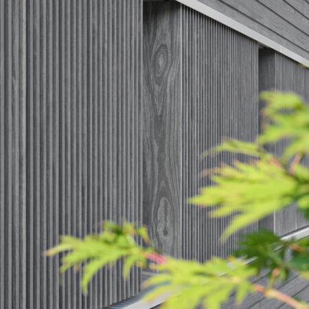 Accoya holz