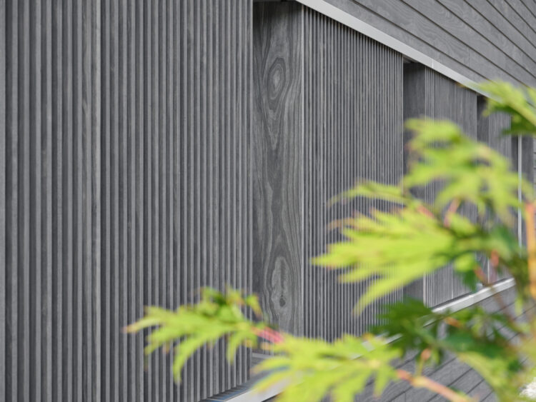 Accoya holz