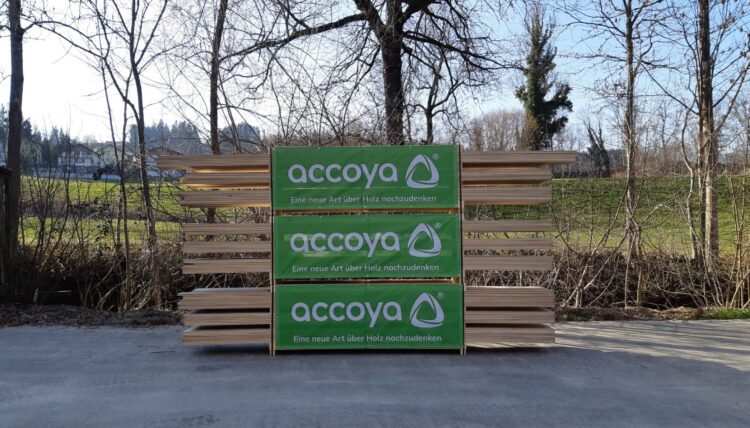 Accoya holz